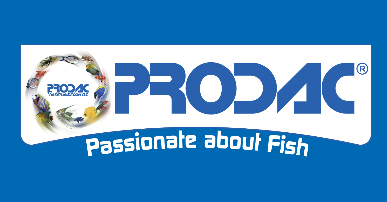 PRO.D.AC.INTERNATIONAL S.R.L.